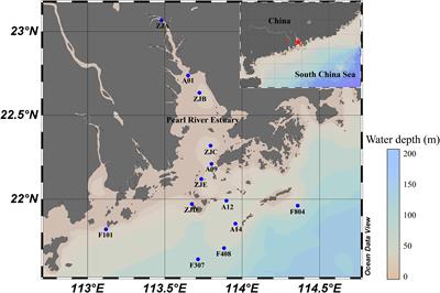 The Distribution of Bathyarchaeota in Surface Sediments of the Pearl River Estuary Along Salinity Gradient